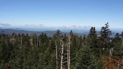 Clingmans dome