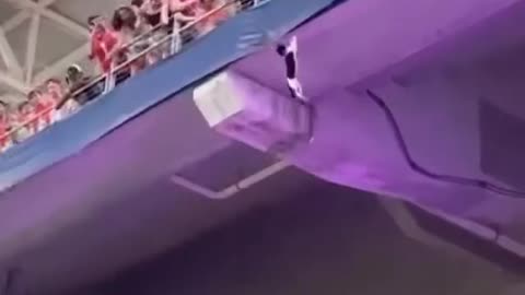 Fans Save Cat From Falling In Stadium With A Flag