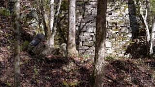 Nature trail