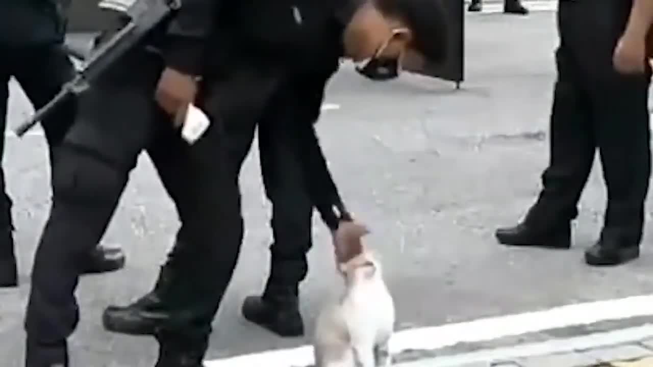 Police can't stop petting this cat - so cute