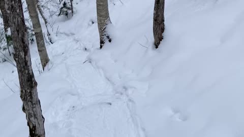 Yes. Chose the wrong path down