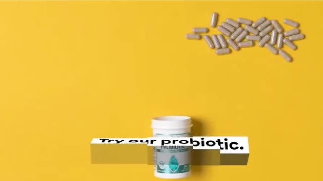 New Gut And Poop Winner Snout Probiotics 60 Billion CFU 2022