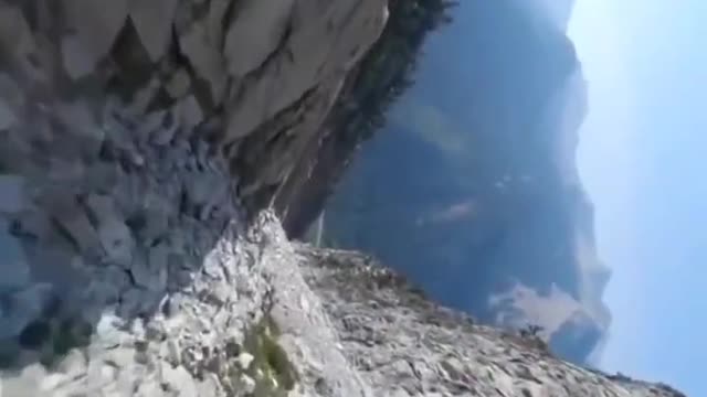 free glide