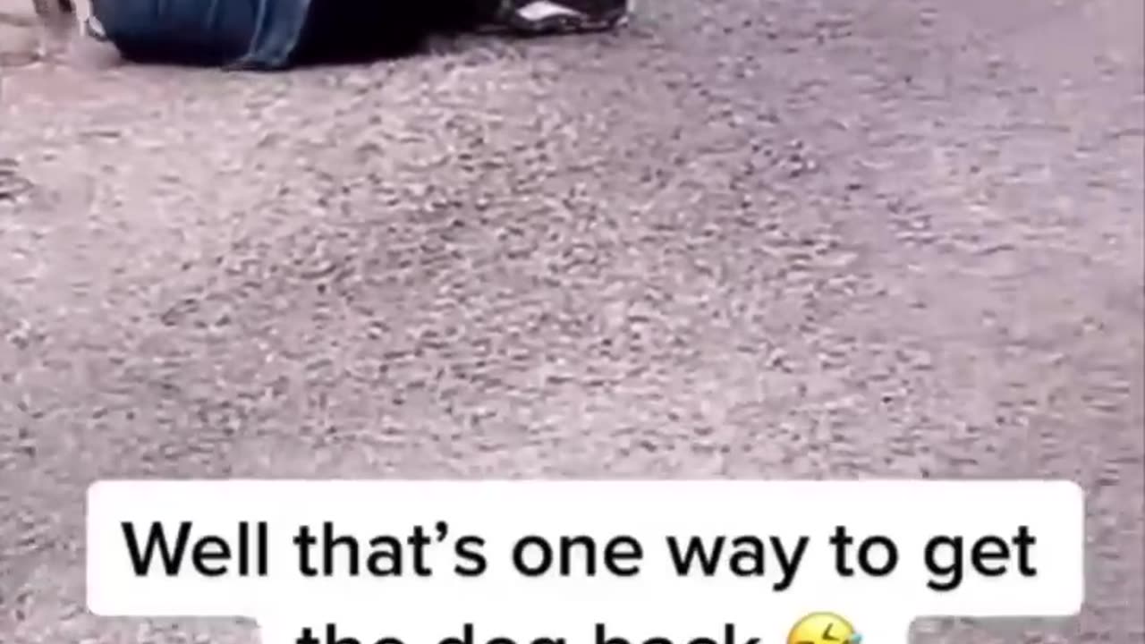 She tricked her dog to get him to run back to her 😂