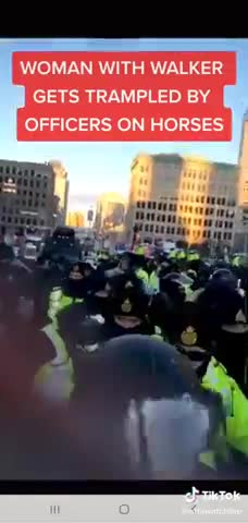 This Disabled Canadian Grandmother Being Trampled by Police on Horseback