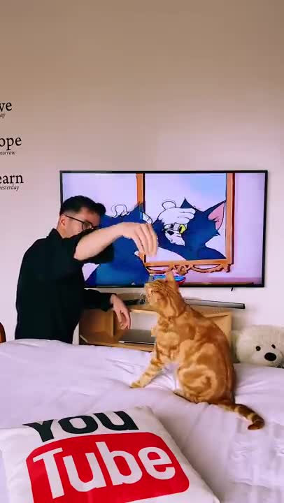 My cat loves Tom & and Jerry