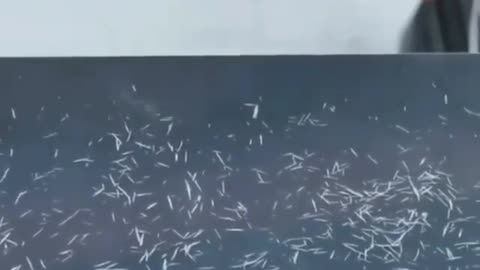 And they call this snow
