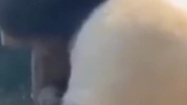 Cute Animals๐๐๐ป๐ป#shorts #animalsshorts #funnyanimals