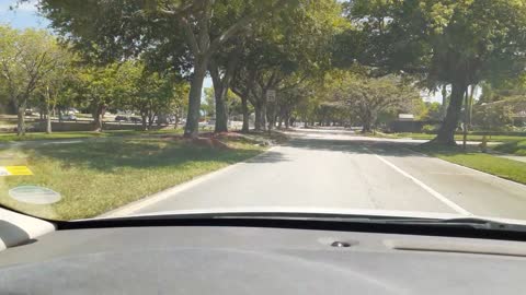 Primavera En Kendall