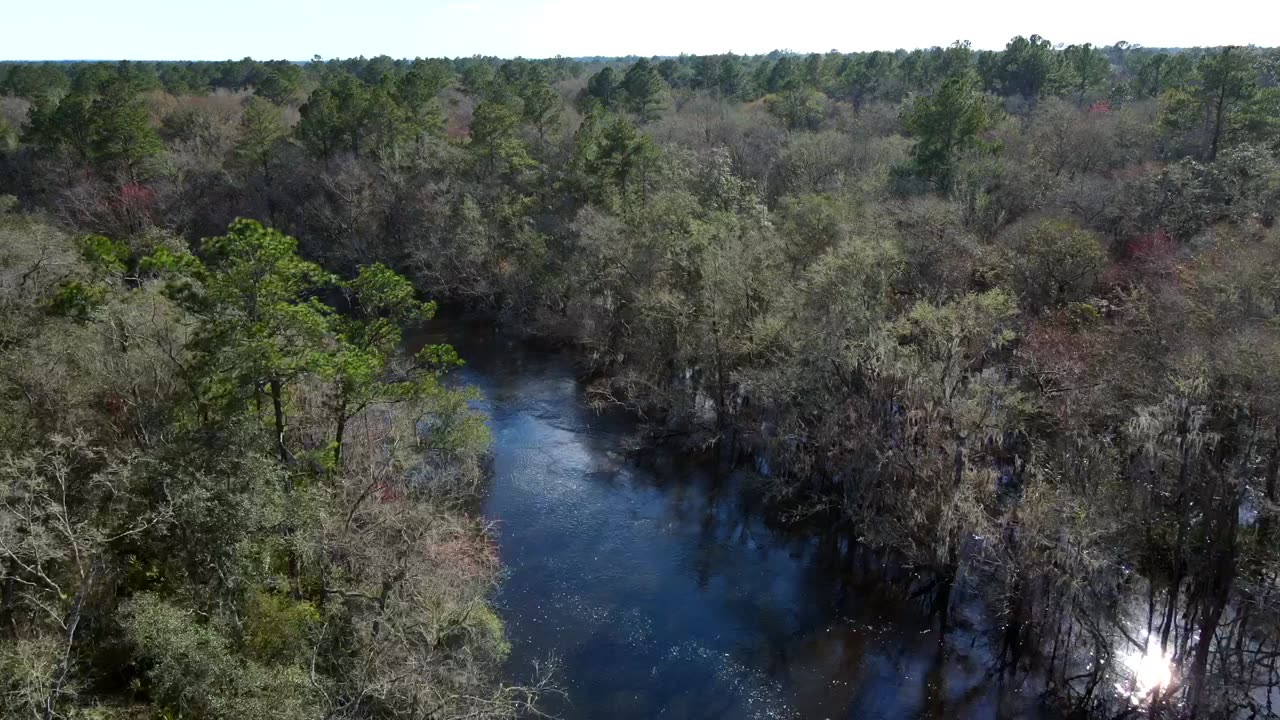 Lake Life Lots Available at Lake Alapaha Naylor Georgia