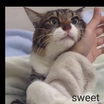 Oh my god so sweet see hag me she don't want let me go😍