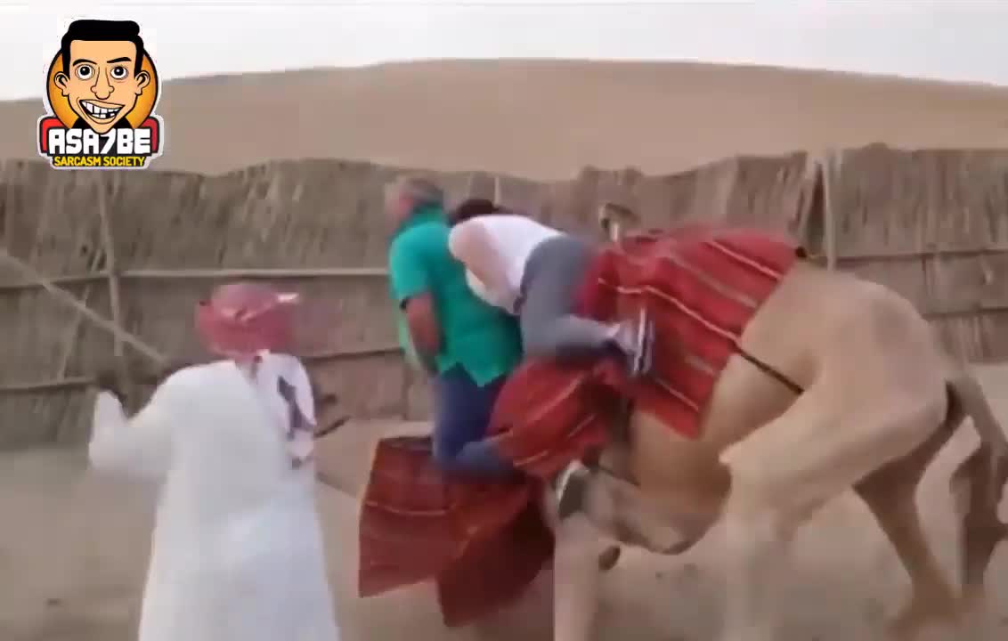 He is not want to fall from camel SUPER DUDE