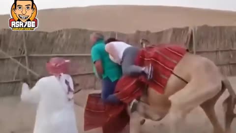 He is not want to fall from camel SUPER DUDE