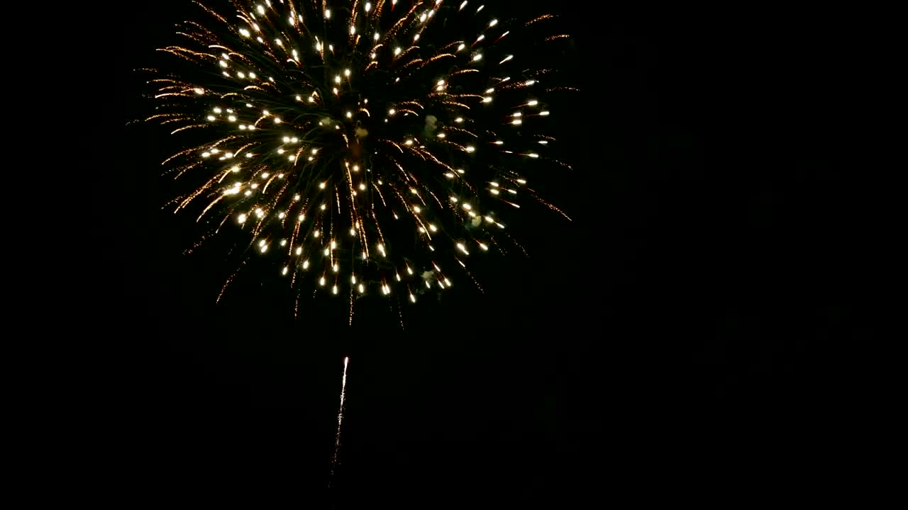 Fireworks in the night sky