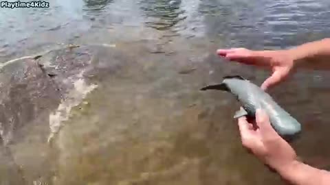 Sea Animal Toys at the Shore