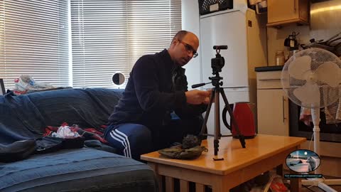 Go pro media adapter test. For the go pro hero 9 black