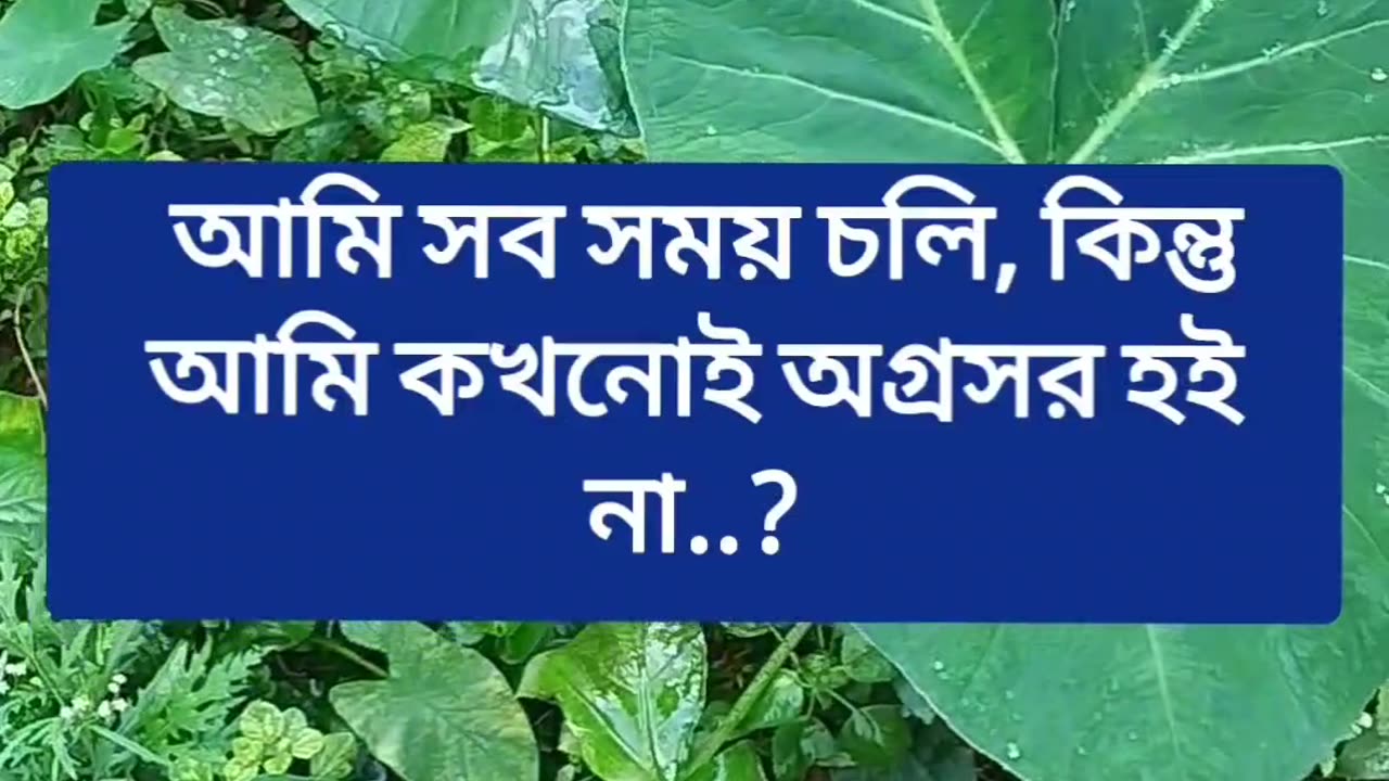 ধাঁধা :- আমি সব সময় চলি, কিন্তু আমি কখনোই অগ্রসর হই না..?