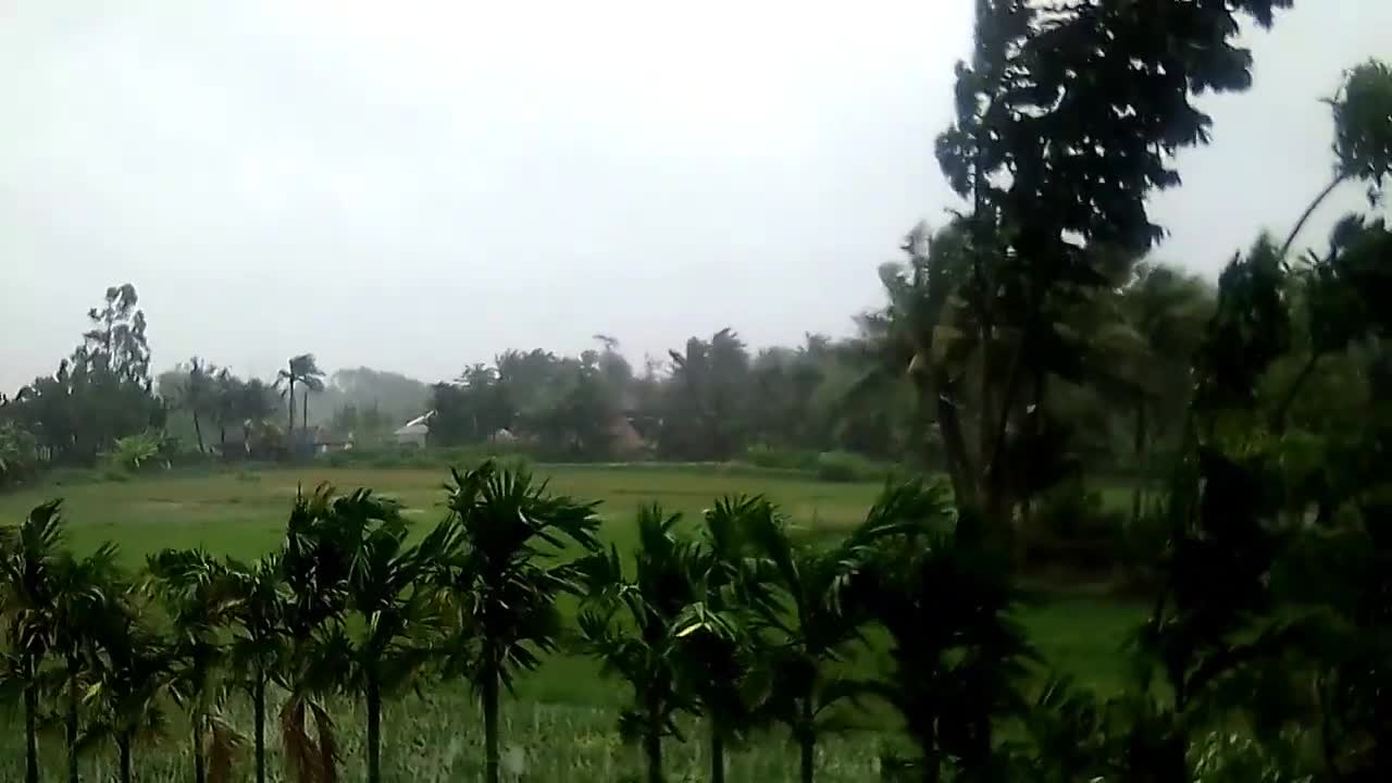 Recent Cyclone "YAAS" hit in India