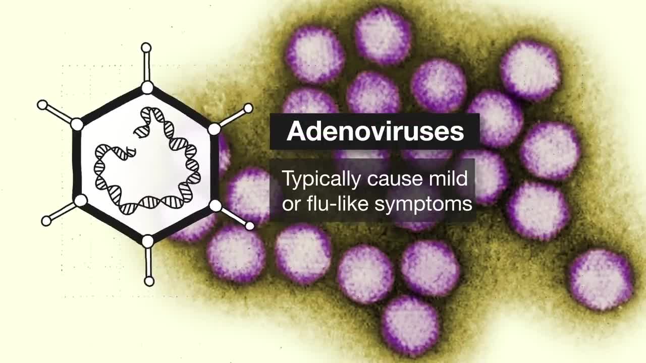 Corona Virus Vaccines and introduction