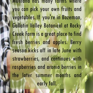 Joyful Harvest: Rocky Creek Farm, Montana