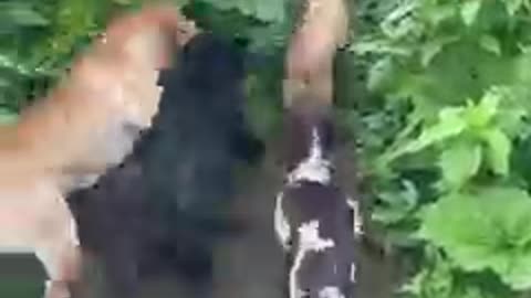 Cooling off..