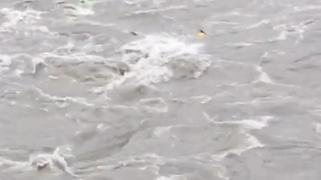 Nadile manxe bagaudai