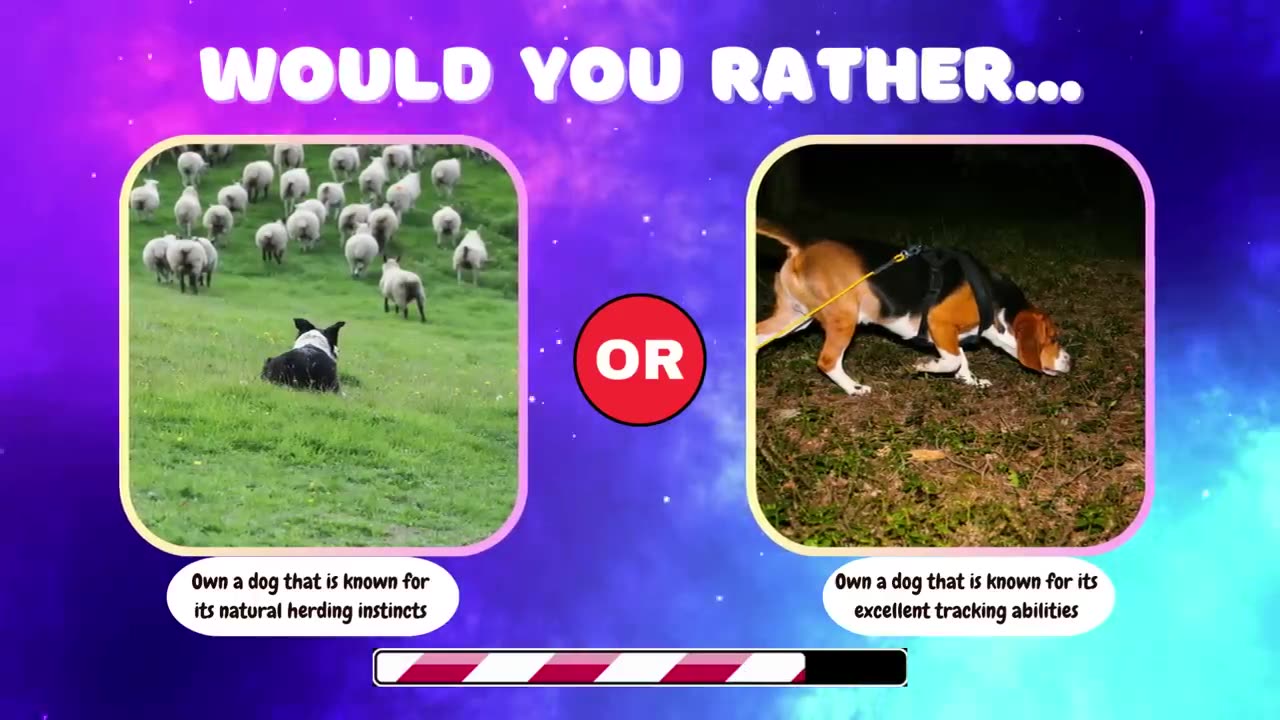 Would you rather... Canines Release 🐶🐕