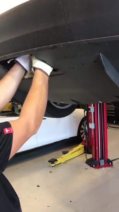 Centro Mecánico de Tesla rescata a gatito atrapado en un auto