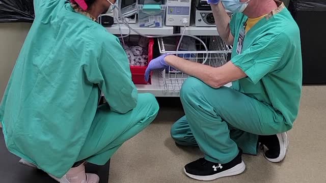 Set Up For An Endoscopy & Reprocessing