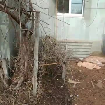 Russians in #Kharkiv are hitting civilian houses. The shell hit a house with young children.