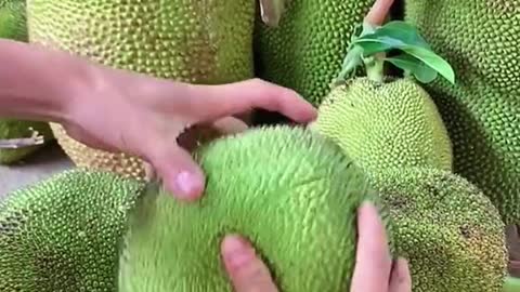 Jackfruit 😍😍😍