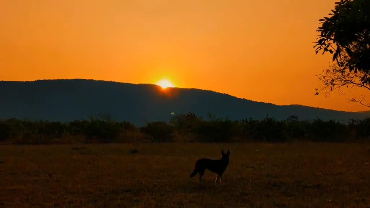 Sun set in the countryside.