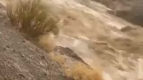 Saudi Arabia — The desert turned into a sea after historical floods, caused by heavy rainfall.