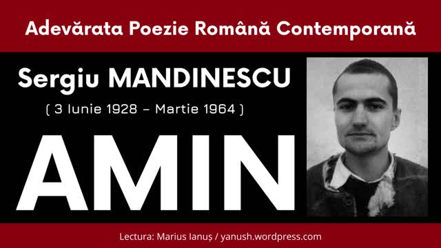 Sergiu Mandinescu - AMIN