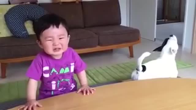 Cute baby funny video short video