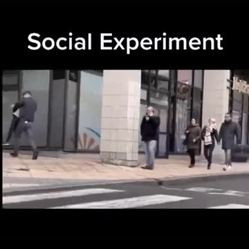 This is a social experiment. It's BIZZARE that nobody is doing anything