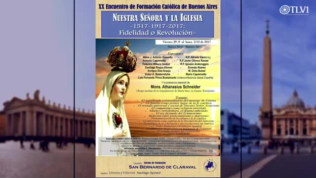 El Compromiso del Laico N°28