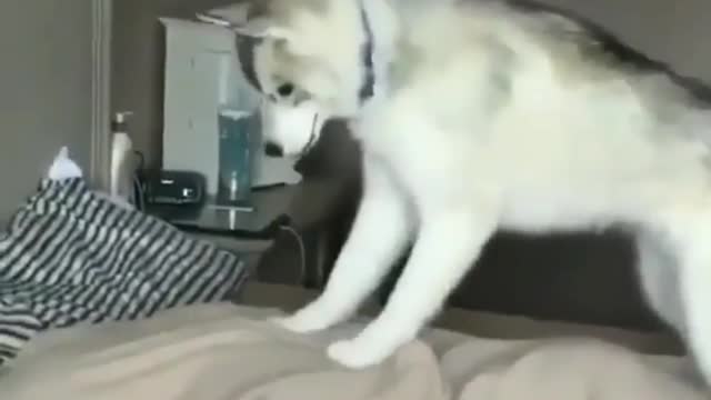 Play by yourself