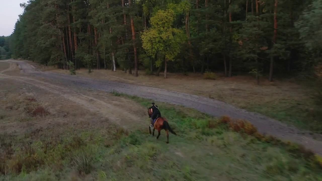 View from the height of woman riding a brown horse by gallop outdoors