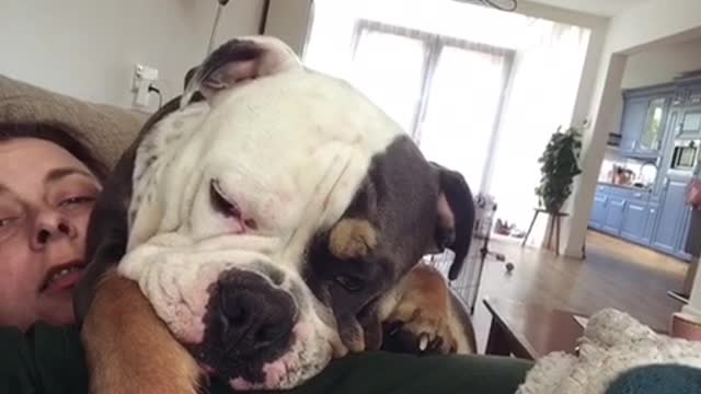 Ozzie doesn’t care about personal space.