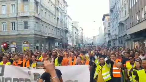 Manifestazioni per la libertà - Trieste