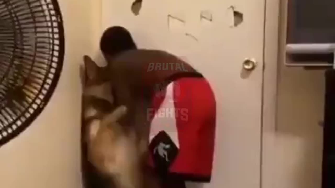 Family Films Kid Abusing Their Dog