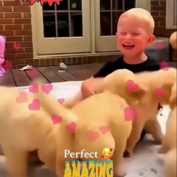 "Adorable Bond: Baby and Dog's Unbreakable Friendship"