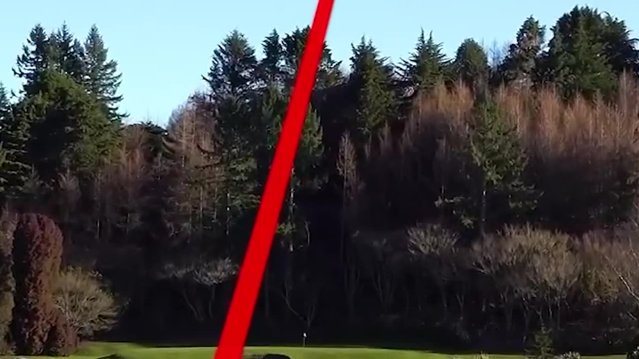 Some of the PUREST golf shots (Part10) #golf #pure #driver #shot #swing #green #fairway, #sopuregolf