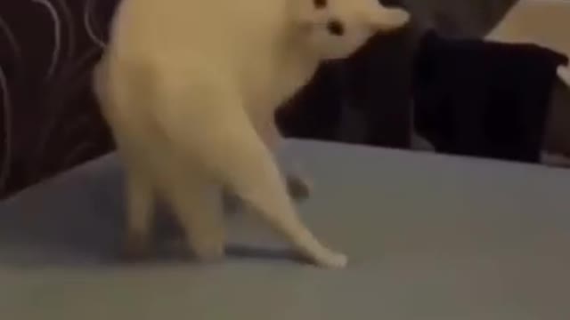 FUNNY VIDEO 🤣🤣