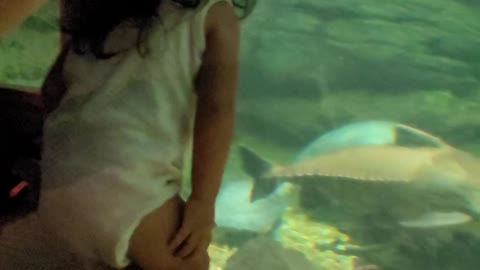 Washington dc: smithsonian zoo III