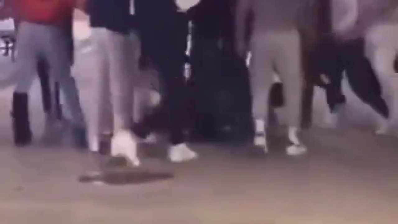 Mob of Middle Eastern men BRUTALLY ATTACK lesbian couple in Canada while LAUGHING.