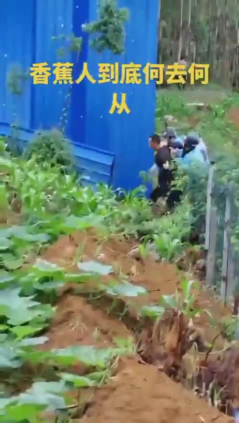 A farmers family arrested in China for growing bananas and not sugar cans