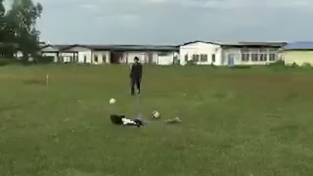 Funny Video Playing Ball