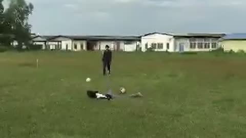 Funny Video Playing Ball